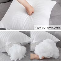 Coussins décoratifs rayés personnalisés, moelleux, pour canapé, lit, avec coussin blanc en alternative au duvet