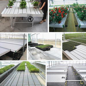 Flujo y reflujo sistema hidropónico de banco - Product Image 3