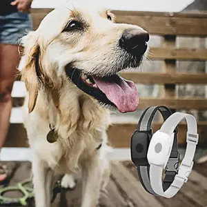 Eview-Alarma inteligente de esgrima con logotipo personalizado, collares de perro satélite para mascotas EV201M 4G, mini rastreador GPS