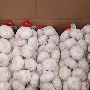 China ajo fresco cita para <span class=keywords><strong>macedonia</strong></span> - Product Image 6