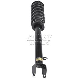 Глянцевая Передняя Левая Правая амортизатор с пружиной 101561900A 101561900B 101561900C 101561901B - Product Image 6