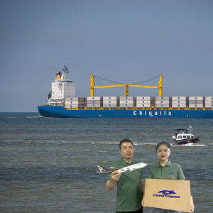 Лесной Леопард экспедитор из Китая от двери до двери доставка в США Италия amazon fba по морю - Product Image 5