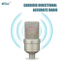 Microphone Studio Professionnel à Condensateur HZ 103 pour Enregistrement Sonore