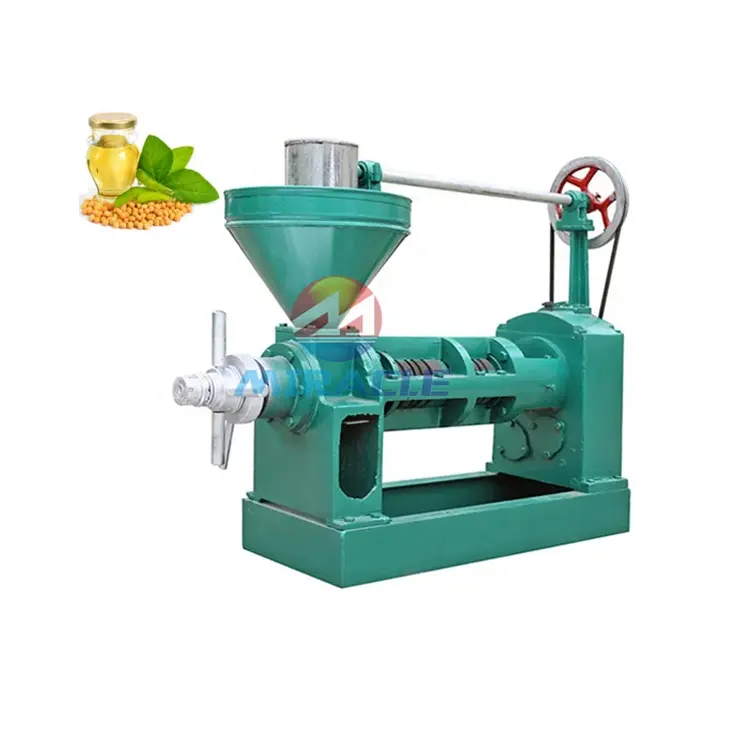 Professional cold rice bran oil extraction machinery walnut oil extractor cold press machine for neem oil on sale