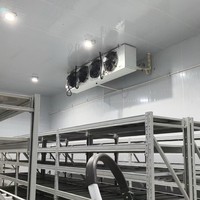 Bâtiment de stockage frigorifique de 5000 mètres carrés et chambre froide pour projet d'abattoir avec système de réfrigération et surveillance à distance