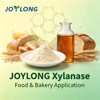 Poudre enzymatique industrielle Xylanase JOYLONG (CAS 9025-57-4) en fût de 25 kg pour ligne de production de blanchiment du papier
