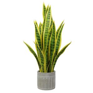 Plantas artificiales <span class=keywords><strong>de</strong></span> Aloe <span class=keywords><strong>Vera</strong></span> para decoración interior, recién llegadas, naturales, <span class=keywords><strong>de</strong></span> fábrica - Product Image 5