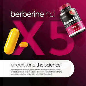OEM Organic Berberine <span class=keywords><strong>HCI</strong></span> Cápsulas 980mg Controle de peso eficaz para adultos Não para mulheres grávidas Adolescentes ou crianças - Product Image 5