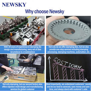 ייצור תבניות מתכת סיניות בהתאמה אישית, כולל תבניות לרכב, עם תבניות ניקוב ויצירת כלים שונים בגואנגדונג, NEWSKY - Product Image 4
