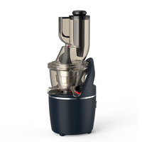 Aanpasbare Huishoudelijke Elektrische Oran Slow Juicer Machine Lage Prijs Handmatige Fruit & Tarwegras Sapcentrifuge