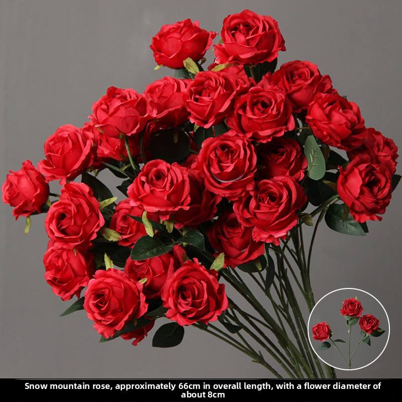 สามดอกกุหลาบภูเขาหิมะ - สีแดง