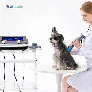 Sw-200 portatile Eswt dispositivo di fisioterapia ad onda d'urto per il trattamento del dolore e delle lesioni degli animali - Product Image 2