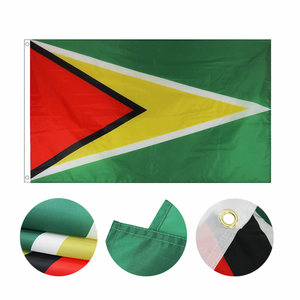 Bandera Deportiva Personalizada de Fábrica de 3x5 pies para los Detroit Lions, 100% Poliéster, Impresión Digital en Aluminio, Bandera de Cuerda - Product Image 3