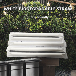 10*200 MM Pailles à boire biodégradables emballées pour les fêtes - Product Image 2