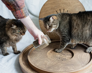 In legno rustico gatto giradischi Scratcher con palla interattiva giocattolo mobili per <span class=keywords><strong>gatti</strong></span> per animali domestici gioco del pavimento - Product Image 6