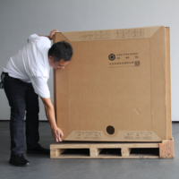 1000L golfkartonnen IBC-container voor verpakkingen van fruitpuree & -pasta