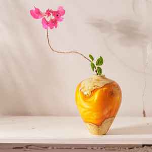 Macetas de Resina y Madera Elegantes y Funcionales para Plantas, Aptas para Suculentas, Cactus, Hierbas y Decoración - Product Image 1