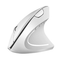 Mouse Gaming Vertikal Ergonomis 2.4G Nirkabel USB Mini untuk Tangan Kanan, Bertenaga Baterai, untuk Penggunaan Kantor yang Efisien, Tersedia