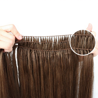 Salon Exclusive Store - Extensions de cheveux à pointes en plumes, cheveux humains vierges Remy 100%, produits de beauté haut de gamme pour salons