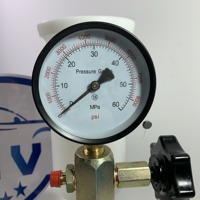 Testeur de buse d'injection de haute qualité Testeur de buse d'injecteur de carburant diesel S80H