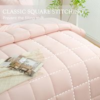 Parure de lit Joytex 3 pièces unie en microfibre chaude avec garnissage en polyester, ensemble de couette pêche matelassée