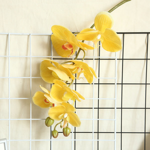 กล้วยไม้เทียมลายดอกกล้วยไม้เทียม,กล้วยไม้สกุลเงินสีน้ำเงินปี B0030 - Product Image 5