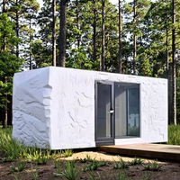 Maisons préfabriquées de 3 chambres à coucher de luxe pré-fabriqué maison bon marché de petit conteneur préfabriqué mobile module extensible expédition maison
