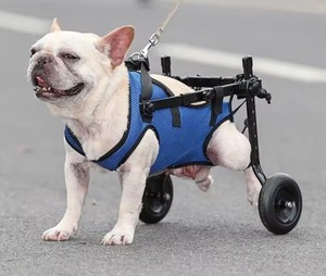Dog Mobility Assistance <b>Cart</b> With Adjustable Pet Walker Wheels And <b>Foldable</b> Three Way Bracket <b>Cart</b> For Daily Walking - Product Image 1