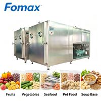 Automatische Fruitvriesdroogmachine, concurrerende prijs, vriesdroogapparatuur, pomp SUS304, voedselverwerking, 380V