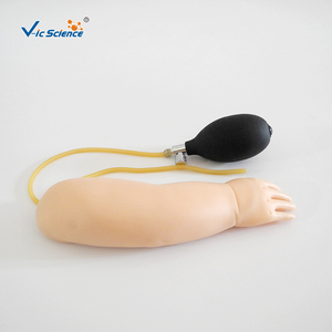 Suministros Médicos: Brazo de Entrenamiento Avanzado para Punción Arterial en Bebés, para Educación Escolar - Product Image 5