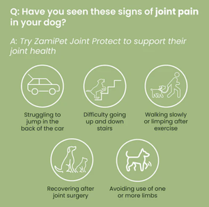 อาหารเสริมสำหรับสุนัขที่มีกลูโคซามีนคอนดรอยติน MSM ช่วยเสริมการเคลื่อนที่สำหรับทุกสายพันธุ์ - Product Image 4