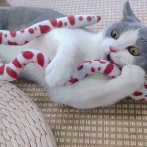 Nuova vendita calda forniture per gattini giocattoli interattivi per erba gatta serpente per gatti al coperto serpenti amanti del giocattolo giocattolo giocattolo da masticare per la salute dentale - Product Image 5