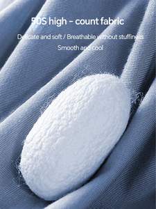 Sous-vêtements pour hommes en modal en gros avec logo personnalisé, sous-vêtements antibactériens en graphène, boxers sans couture, taille plus pour hommes - Product Image 5