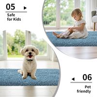 Tapis chinois personnalisés, doux et moelleux, résistants aux taches, adaptés aux animaux domestiques, tapis de bain touffeté à poils longs, paillasson antidérapant uni pour hôtel