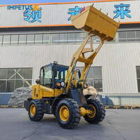 Impetus Front Mini 1 Tonne 1,5 Tonnen 1,8 Tonnen 2 Tonnen 2,5 Tonnen 2,8 Tonnen 3 Tonnen Radlader Kleiner Radlader Cargador