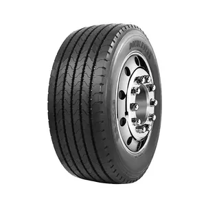 डबलस्टार ट्रक टायर DSR118 385/55r22.5385/65r22.5425/65r22.5445/65r22.5 PR20 ओवर लोड रेडियल टायर