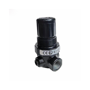 Régulateur polyvalent de la série R07, original et neuf, modèle R07-200-RNKG - Product Image 1