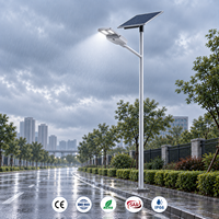 Lampadaire solaire 2-en-1 du fabricant 300W 400W 500W – Les meilleurs lampadaires solaires à LED