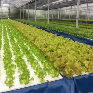 OMANA Dwc Jangadas Flutuantes Sistema Crescente Aquaponics Sistema Crescente Para Plantio De Alface Vegetal Jangada Flutuante Hidropônica