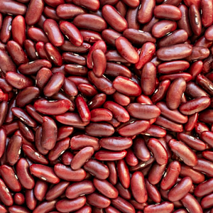 Indian <b>Red</b> Kidney Beans Natural Whole Dried 24 Months Shelf Life Premium Quality for Global Wholesale <b>Food</b> Markets - Product Image 1