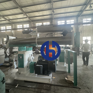 Nueva Máquina Multifuncional para Hacer Pellets con Matriz de Anillos, Capacidad de Origen Jiangsu, Alto Rendimiento para Gallinas Ponedoras y Piscifactorías - Product Image 3