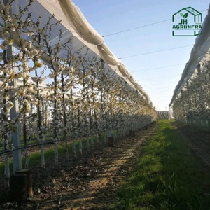 Invernadero Resistente y de Alta Resistencia con Malla de Sombra de Polietileno Resistente a los Rayos UV para Verduras y Frutas, con Cuerda de Alambre Económica - Product Image 3