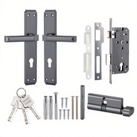 DoorShine Qualité Luxe Moderne Accessoires de porte et fenêtre Serrure à mortaise Poignée à levier long Fabricant Ensemble de poignées de porte