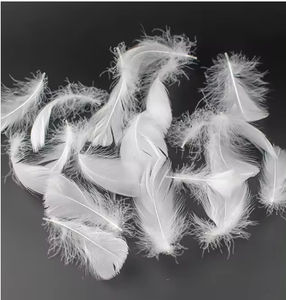 Precio bajo <span class=keywords><strong>de</strong></span> fábrica plumas <span class=keywords><strong>de</strong></span> pato blancas lavadas 2-4cm <span class=keywords><strong>relleno</strong></span> <span class=keywords><strong>de</strong></span> plumón para almohadas edredones pluma <span class=keywords><strong>de</strong></span> pato sin orden - Product Image 6