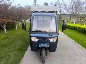 Triciclo Elettrico Passeggeri a 3 Ruote da Fabbrica Cinese, 2000W 60V, Tuk Tuk Taxi con Carrozzeria Chiusa, 6 Posti e Autonomia 30-50km - Product Image 3