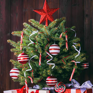 Bonbons de Noël Candy Canes Saveur de fruits Sour Cherry Candy Canes - Product Image 5