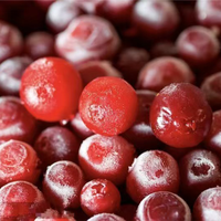 Iqf Bevroren Fruit Bevroren Bosbes Iqf Rode Bosbes Met Goede Vorm En Smaak Bevroren Fruit Iqf Bevroren Bosbes