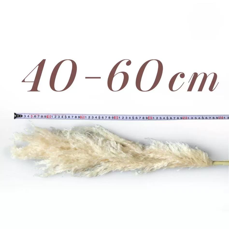 40cm-60cm