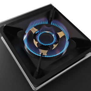 Estufa <span class=keywords><strong>de</strong></span> <span class=keywords><strong>Gas</strong></span> Eléctrica <span class=keywords><strong>de</strong></span> Precio Mayorista, Cocina <span class=keywords><strong>de</strong></span> <span class=keywords><strong>Gas</strong></span> <span class=keywords><strong>de</strong></span> 2 Quemadores, Encimera <span class=keywords><strong>de</strong></span> Vidrio Templado Integrada - Product Image 4