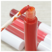 Paillettes repulpantes végétaliennes imperméables à l'eau personnalisées en gros Lip Plumper Glossy Vendor Lipgloss Brillant à lèvres de marque privée